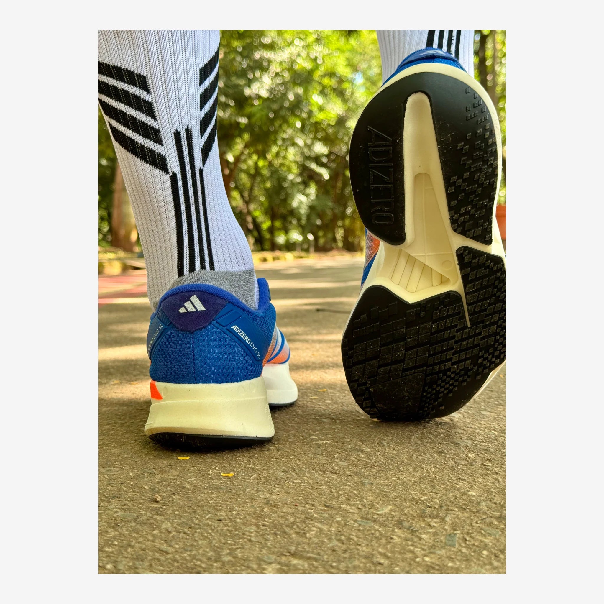Tênis Adidas Adizero Evo SL - Azul