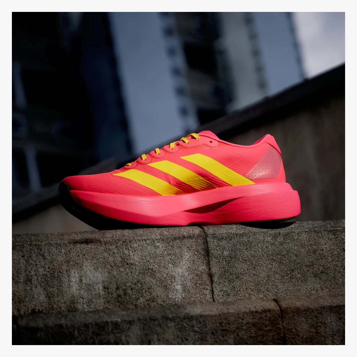 adidas tenis adizero evo sl vermelho jq4442