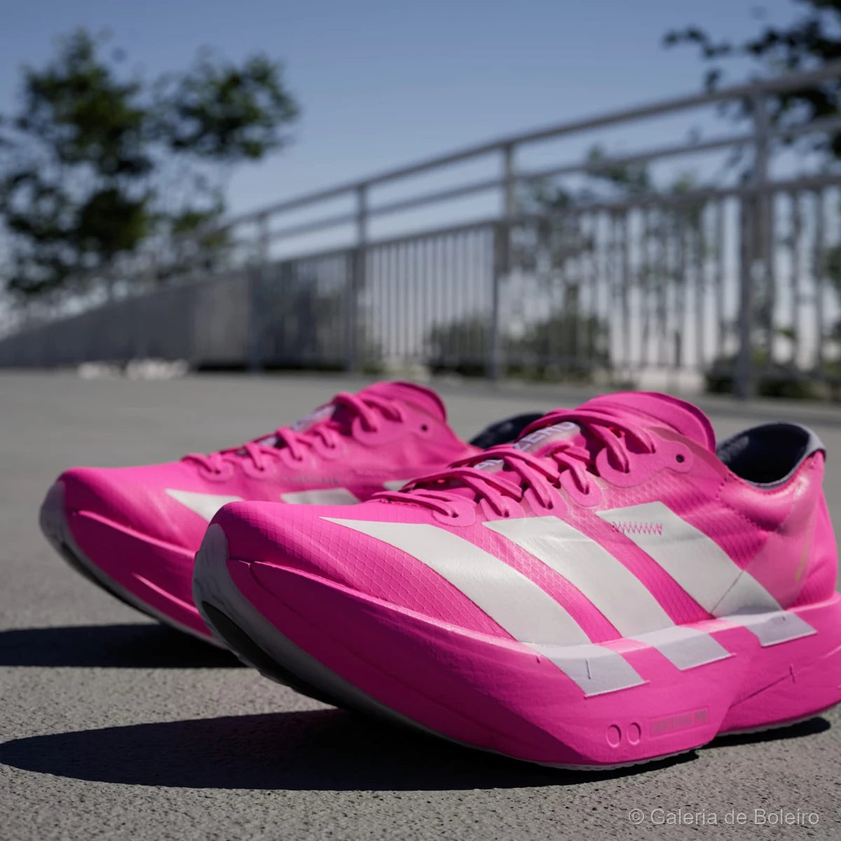 Adidas Tênis Adizero Adios Pro 4 Shock Pink