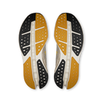 On Cloudsurfer Max Cinder Pelican