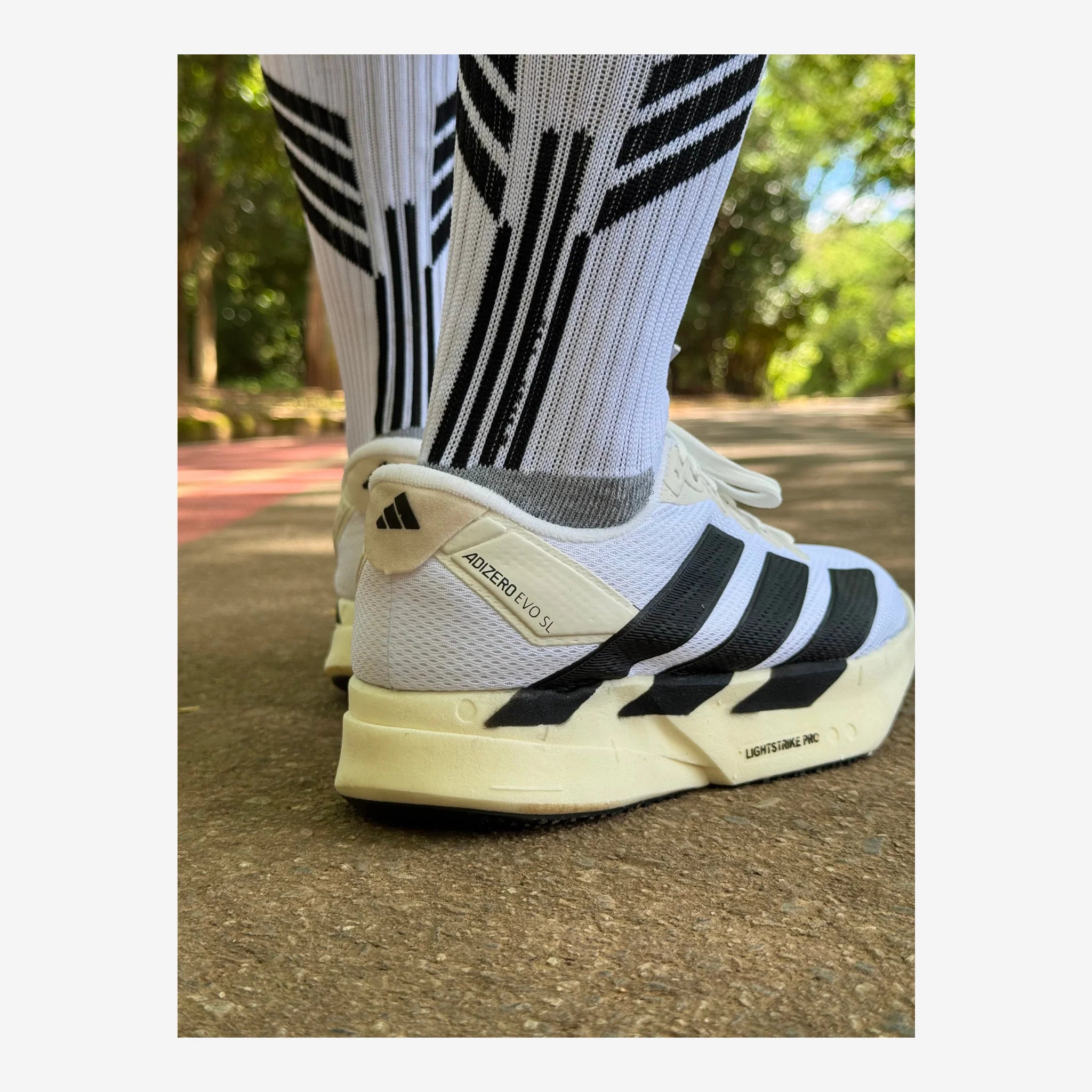 Tênis Adidas Adizero Evo SL - Branco
