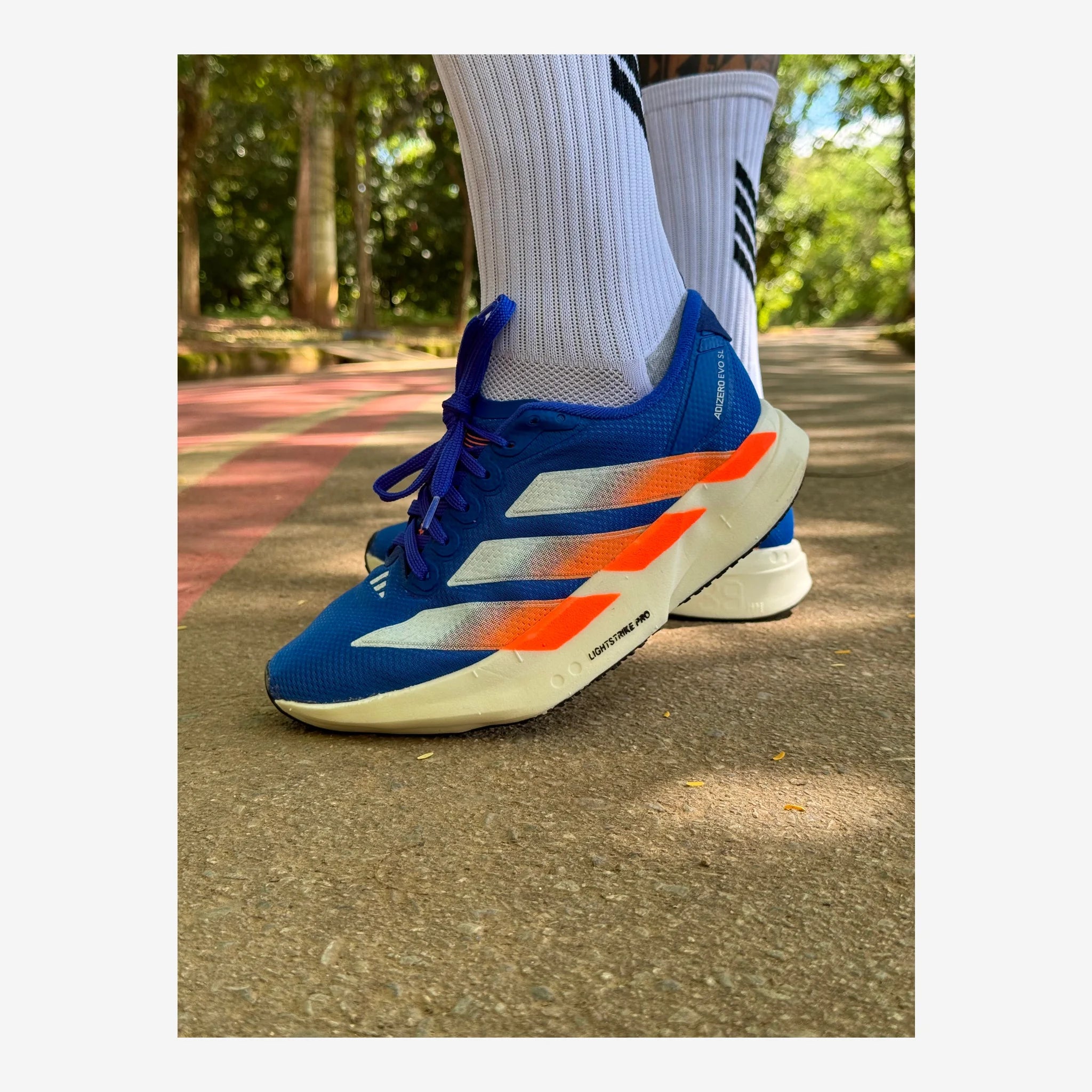 Tênis Adidas Adizero Evo SL - Azul