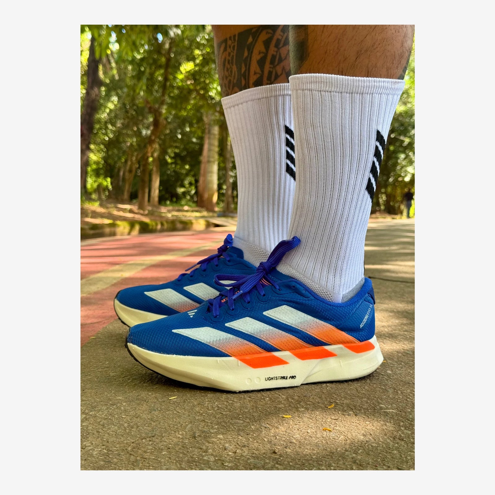 Tênis Adidas Adizero Evo SL - Azul