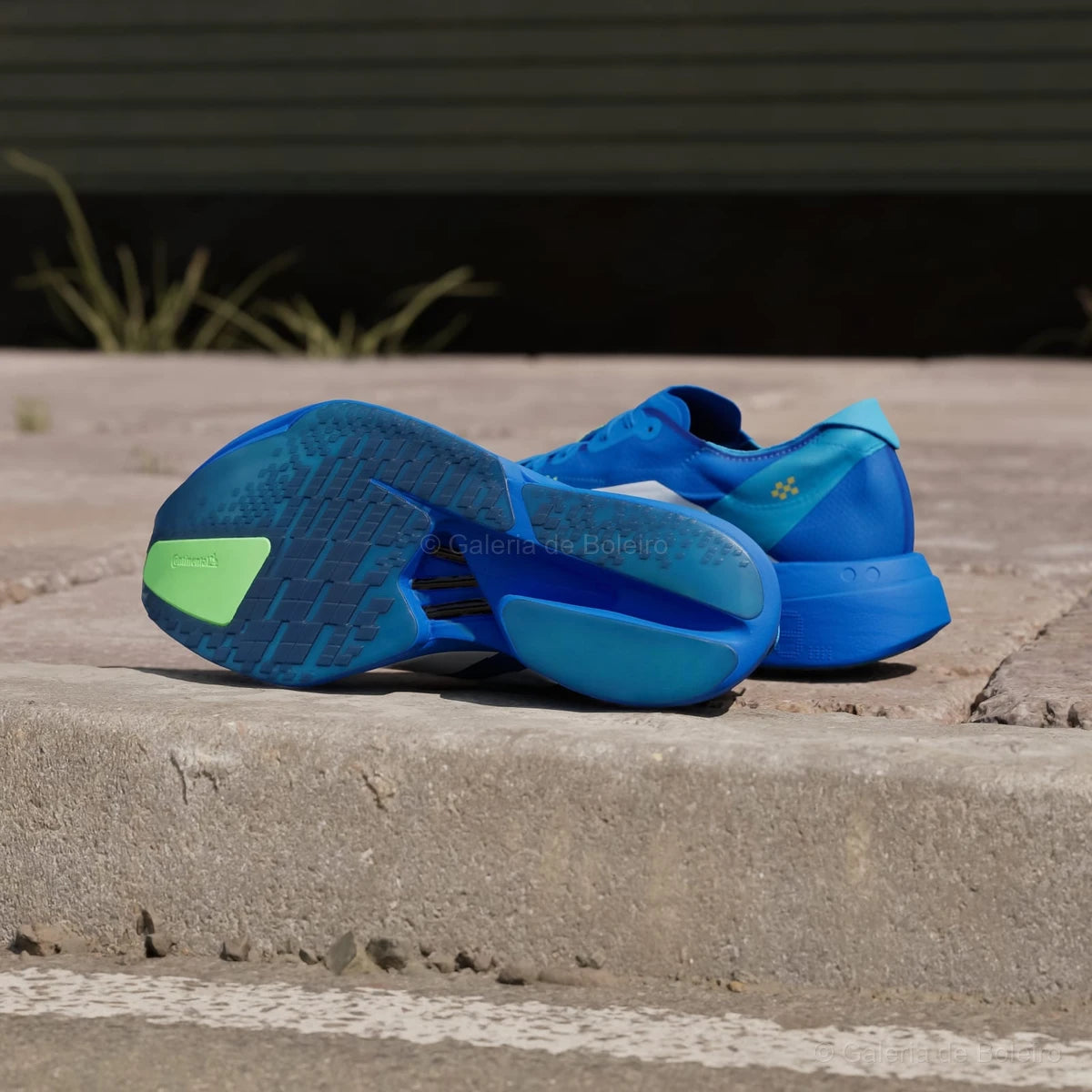 Adidas Tênis Adizero Adios Pro 4 Blue